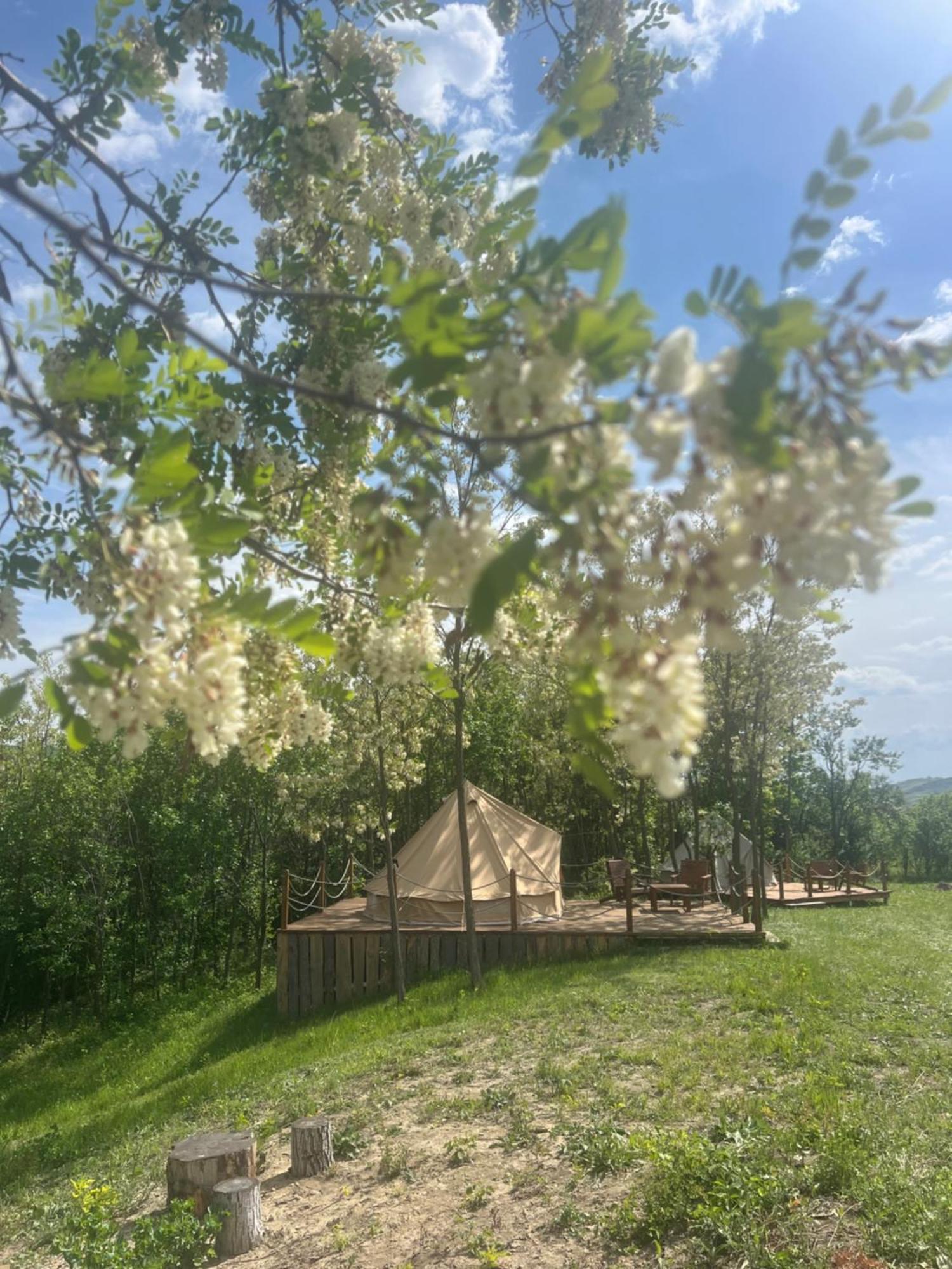 Deleni Retreat - Glamping Hotel Buzau Exterior photo